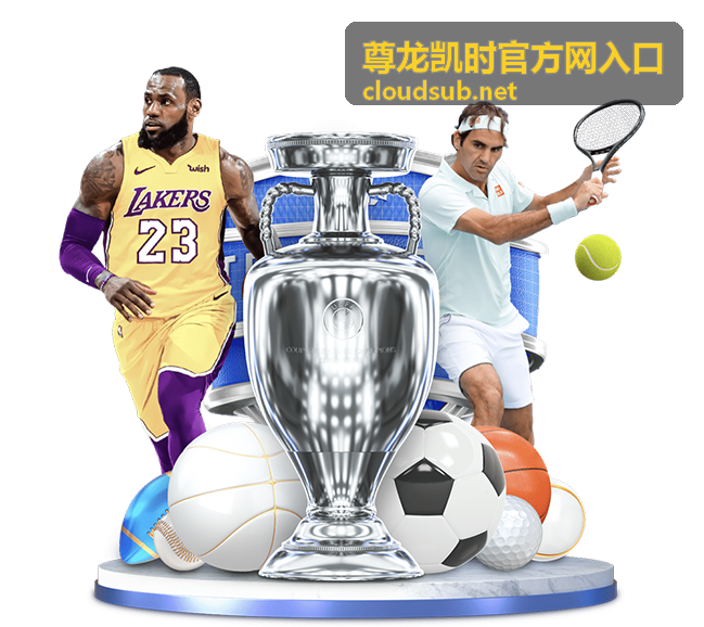 尊龙凯时官方网入口体育竞猜